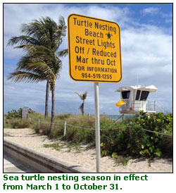 Sea Turtle Season sign