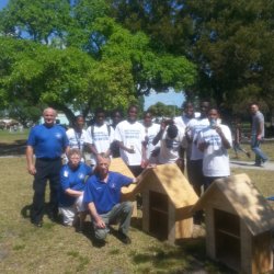 Little Free Libraries 250px (1)