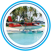 Sea Plane Banyan