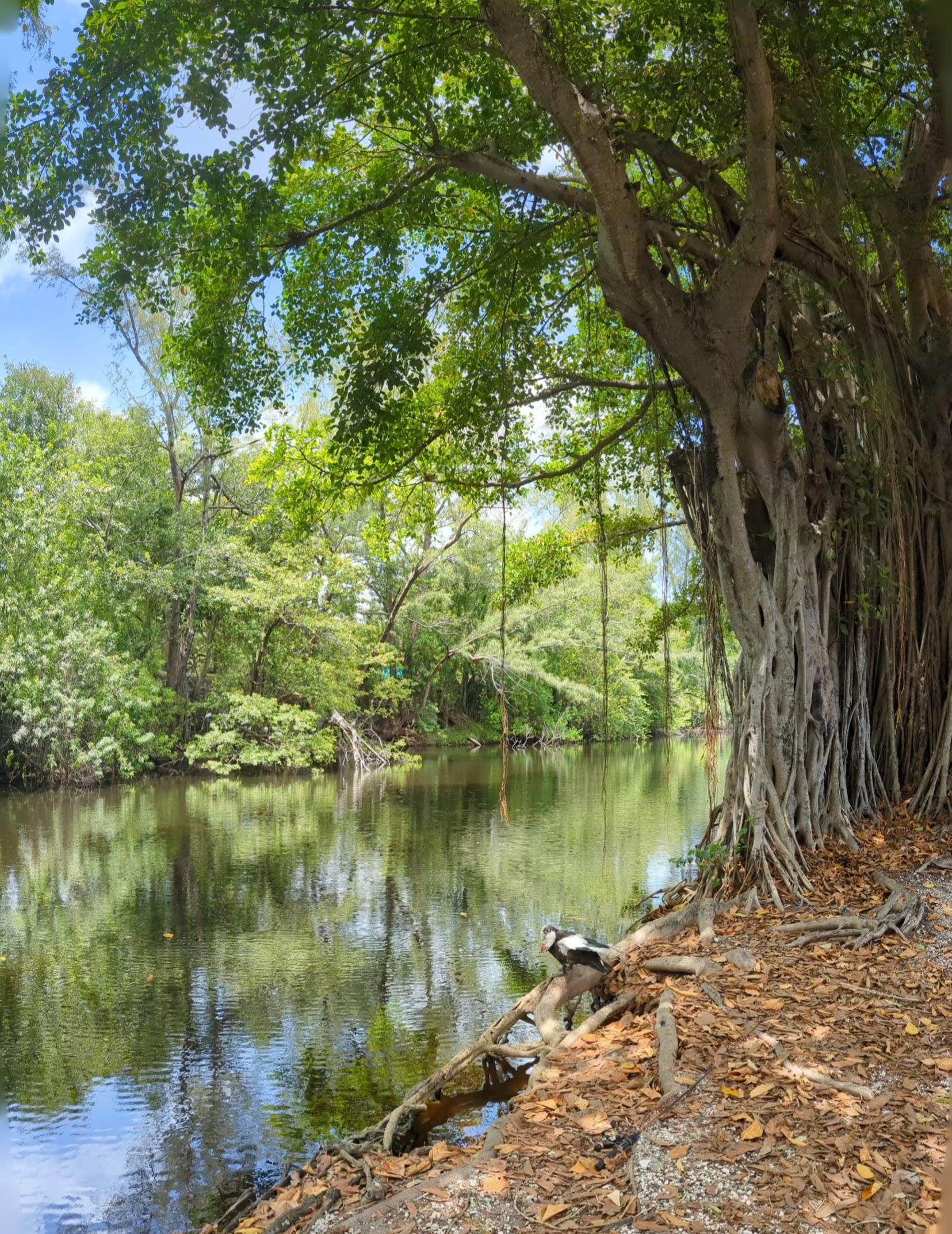 Cliff Lake