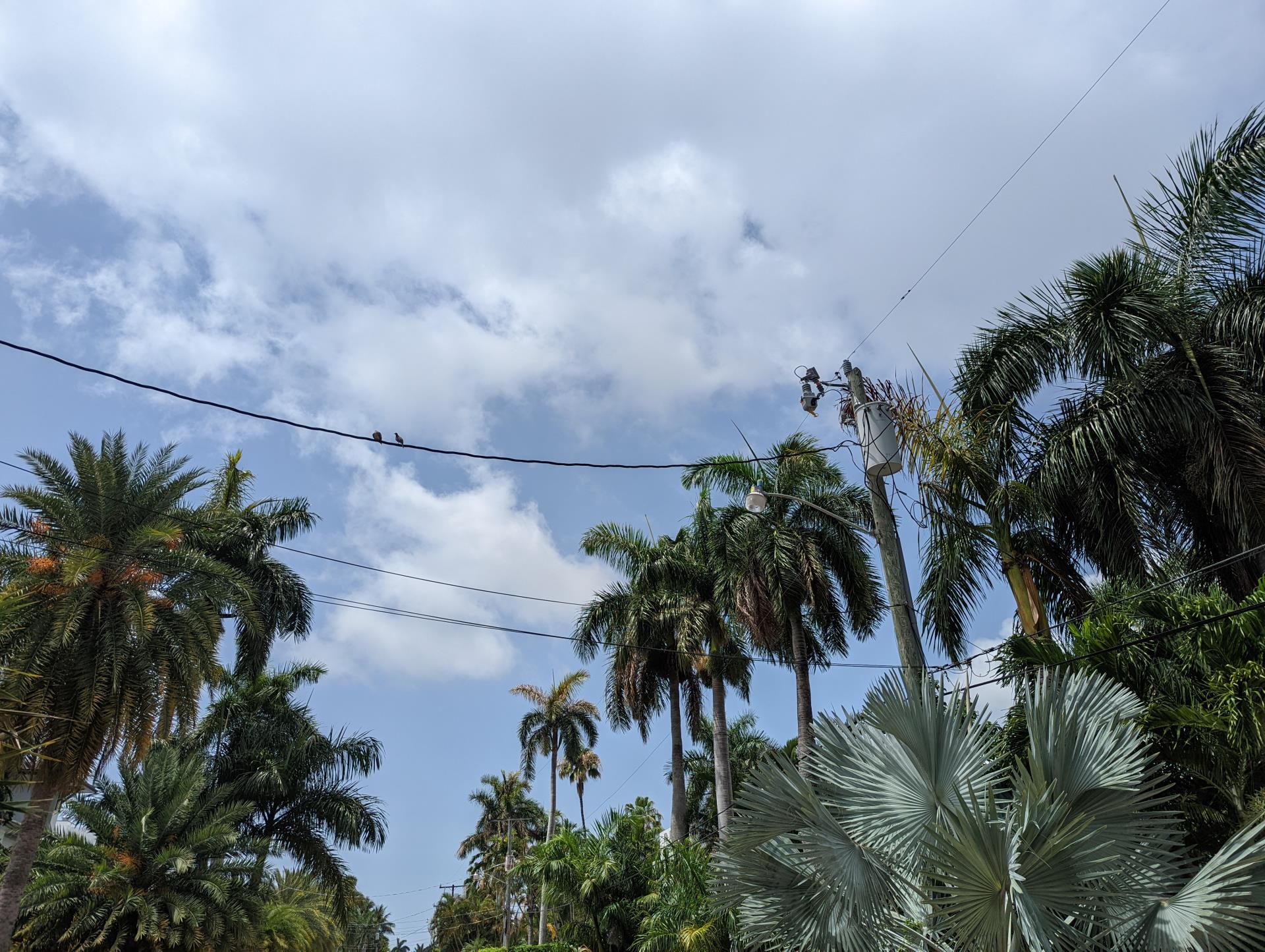 Las Olas Isles Overhead Utilities