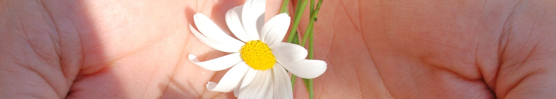 hands holding flowers