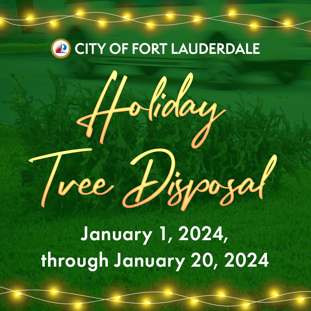 8536 FTL HolidayTreeDisp_1080