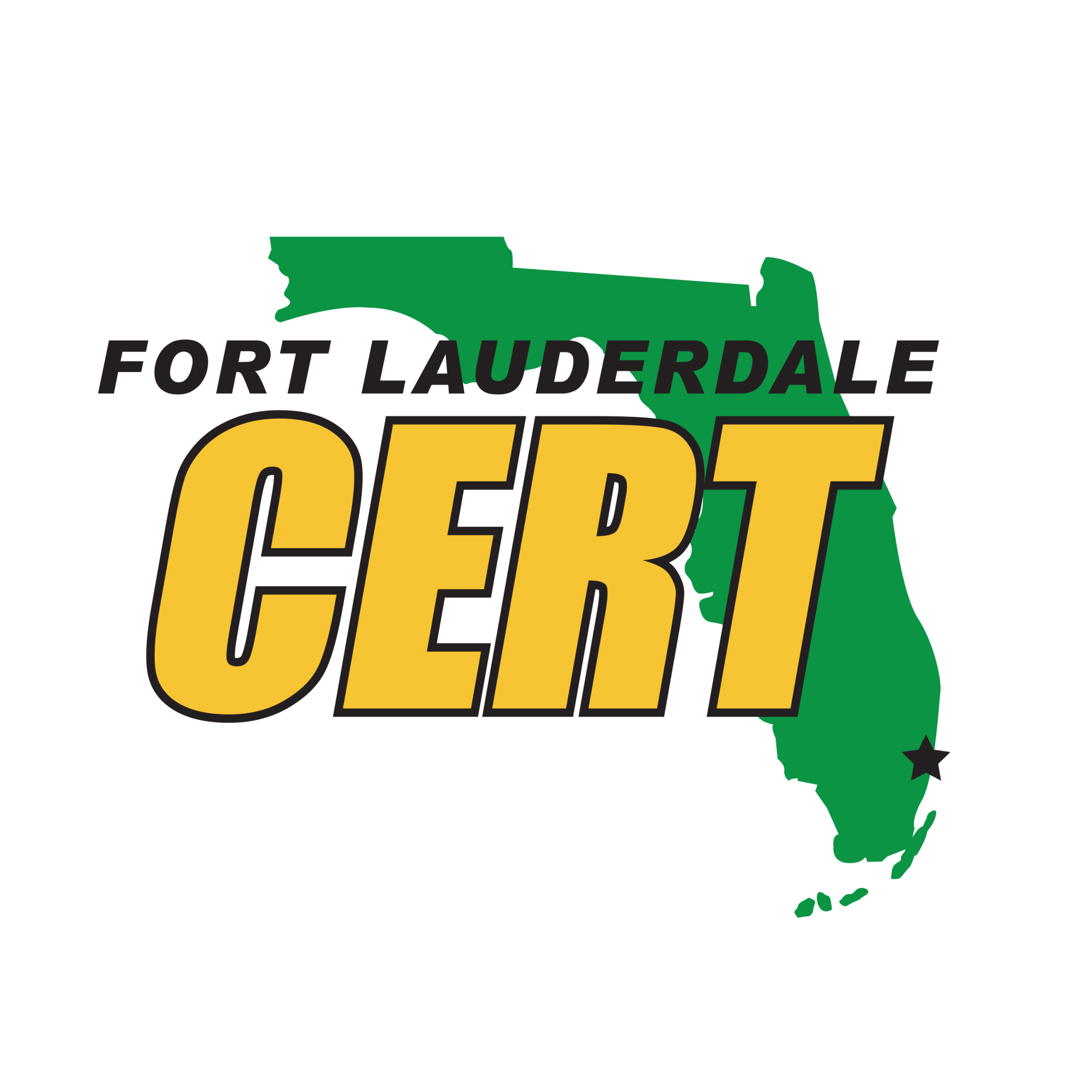 CERT logo